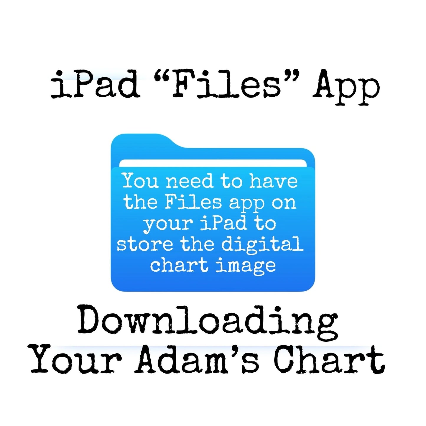 Adams Time Chart 2.0