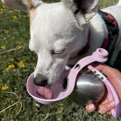 2-in-1 Portable Dog Water Bottle with Bowl