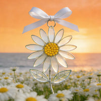 🌼Daisy (Friendship)