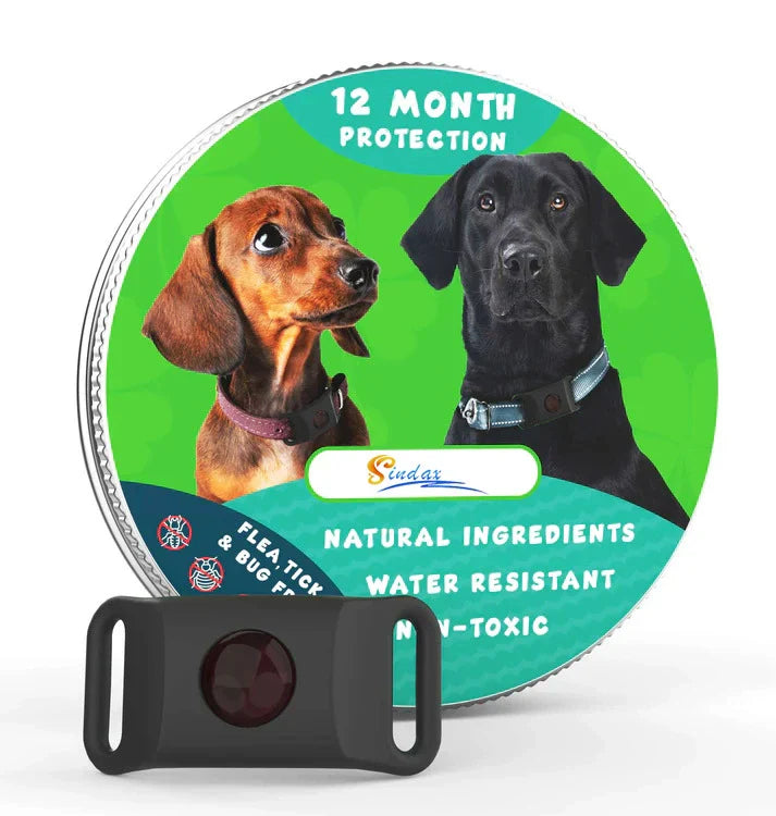 ⏰The PawPure Natural Shield:-🐕12 Months Flea and Tick Free