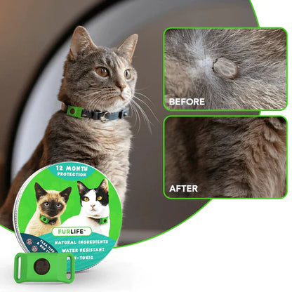⏰The PawPure Natural Shield:-🐕12 Months Flea and Tick Free