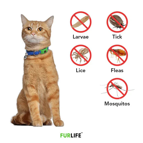 ⏰The PawPure Natural Shield:-🐕12 Months Flea and Tick Free