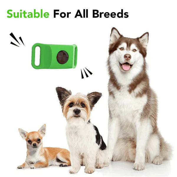 ⏰The PawPure Natural Shield:-🐕12 Months Flea and Tick Free