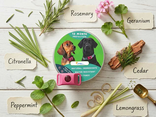 ⏰The PawPure Natural Shield:-🐕12 Months Flea and Tick Free