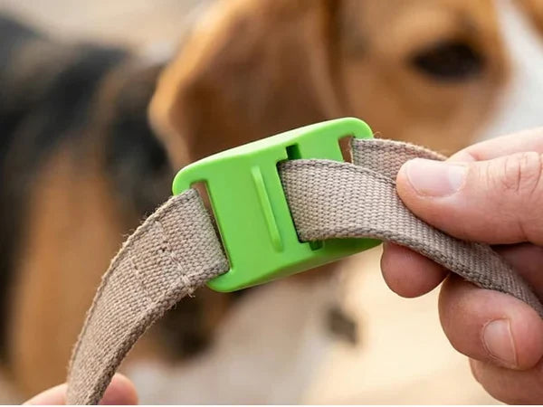 ⏰The PawPure Natural Shield:-🐕12 Months Flea and Tick Free