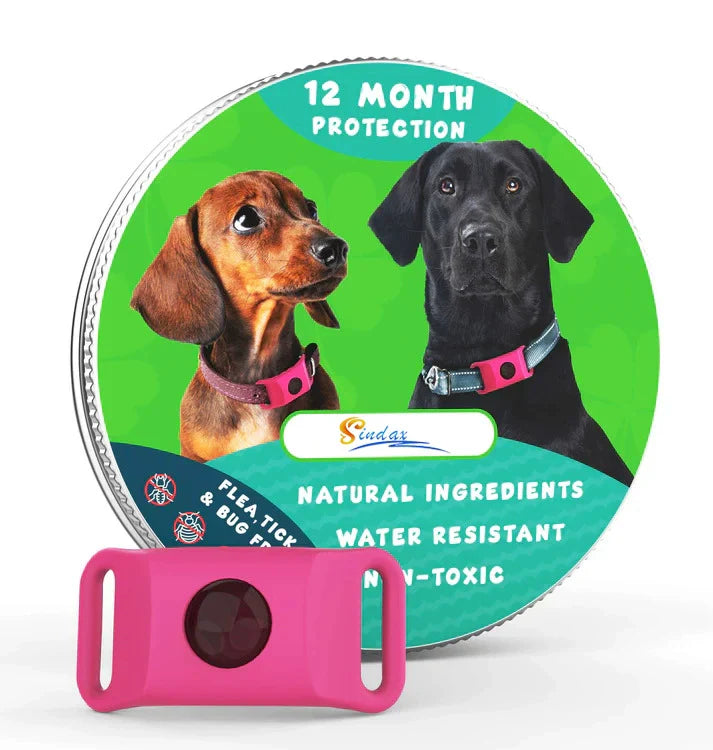 ⏰The PawPure Natural Shield:-🐕12 Months Flea and Tick Free