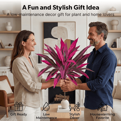 🎁  Last Day 60% OFF - Artificial Boston Fern & Dragon's Blood Tree Plants