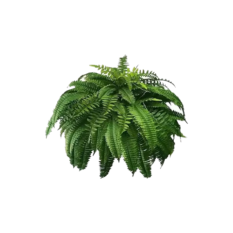 🔥 On Sale Only Today 🌱 UV Resistant Ferns Artificial Plants Large for Planters, Office & Home Decor, Outdoor & Indoor